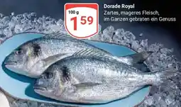 Globus Dorade Royal Angebot