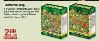 V Baumarkt Blumenmischung Angebot