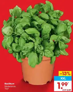 Netto Marken-Discount Basilikum Angebot