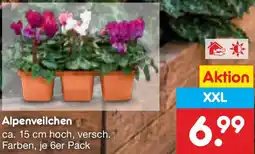 Netto Marken-Discount Alpenveilchen Angebot