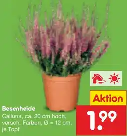 Netto Marken-Discount Besenheide Angebot