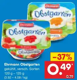 Netto Marken-Discount Ehrmann Obstgarten Angebot