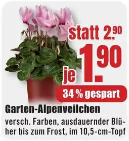 B1 Discount Baumarkt Garten-Alpenveilchen Angebot