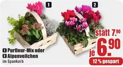 B1 Discount Baumarkt Purfleur-Mix oder Alpenveilchen im Spankorb Angebot