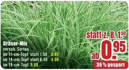 B1 Discount Baumarkt Gräser-Mix Angebot
