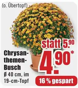 B1 Discount Baumarkt Chrysanthemen-Busch Angebot