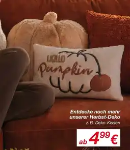 KiK Entdecke noch mehr unserer Herbst-Deko Angebot