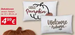KiK Dekokissen Angebot