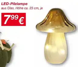 KiK LED-Pilzlampe Angebot