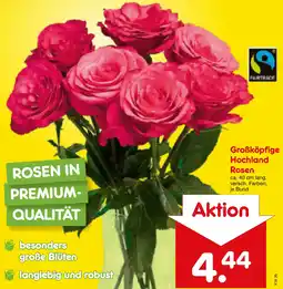 Netto Marken-Discount Großköpfige Hochland Rosen Angebot