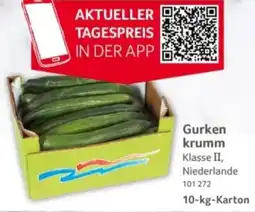 Selgros Gurken krumm Angebot