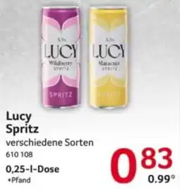 Selgros Lucy Spritz Angebot