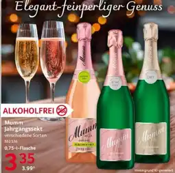 Selgros Mumm Jahrgangssekt Angebot