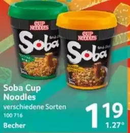 Selgros Cup Noodles Soba Angebot