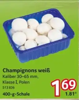 Selgros Champignons weiß Angebot