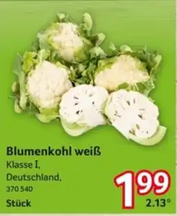 Selgros Blumenkohl weiß Angebot