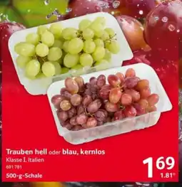 Selgros Trauben hell oder blau, kernlos Angebot