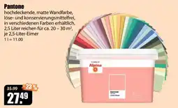 V Baumarkt Pantone Wandfarbe Angebot