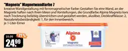 V Baumarkt Alpina Magneto Angebot