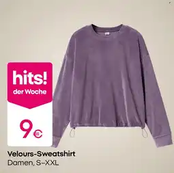 PEPCO Velours-Sweatshirt Angebot