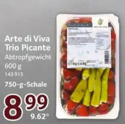 Selgros Arte di Viva Trio Picante Angebot