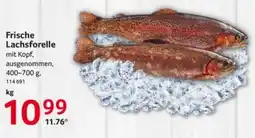 Selgros Frische Lachsforelle Angebot