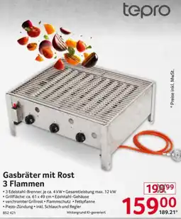 Selgros tepro Gasbräter mit Rost Angebot