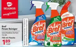 Selgros Bref Power Reiniger Angebot
