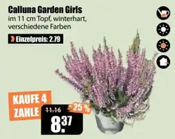 V Baumarkt Calluna Garden Girls Angebot