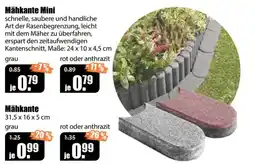 V Baumarkt Mähkante Mini Angebot