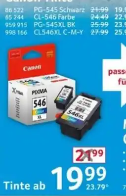 Selgros Canon PIXMA 546 Color XL Angebot
