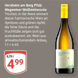 Globus Herxheim am Berg Pfalz Wegweiser Weißweincuvée Angebot