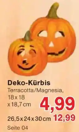 Jawoll Deko-Kürbis Angebot
