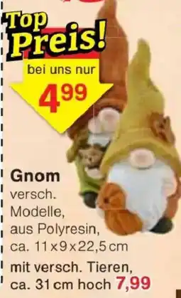Jawoll Gnom Angebot