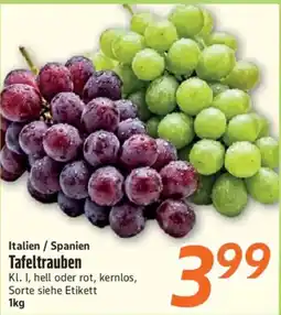 inkoop Tafeltrauben Angebot