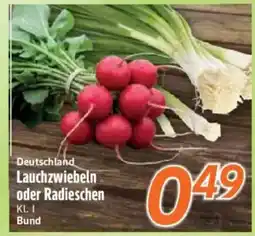 inkoop Lauchzwiebeln oder Radieschen Angebot