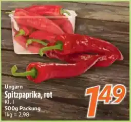 inkoop Spitzpaprika, rot Angebot