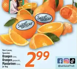 inkoop SanLucar Orangen lose, Orangen gepackt, Mandarinen lose Angebot