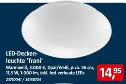 Bauhaus LED-Deckenleuchte 'Trani' Angebot