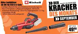 V Baumarkt Einhell Akku-Laubbläser GE-UB 18/250 Li E-Solo Angebot