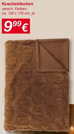 KiK Kuscheldecken Angebot
