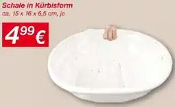 KiK Schale in Kürbisform Angebot