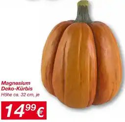 KiK Magnesium Deko-Kürbis Angebot