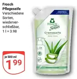 Globus Frosch Pflegeseife Angebot