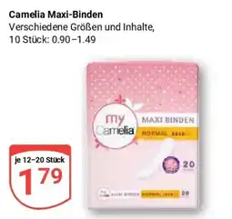 Globus Camelia Maxi-Binden Angebot