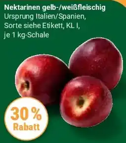 Globus Nektarinen gelb/weißfleischig Angebot