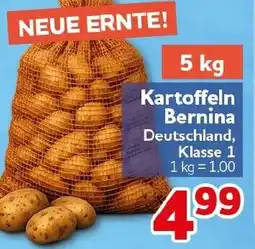 CENTERSHOP Kartoffeln Bernina Angebot