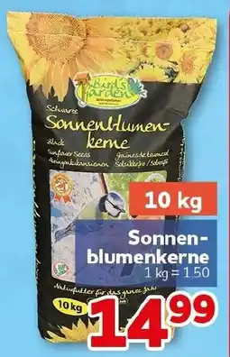 CENTERSHOP Birds Garden Sonnenblumenkerne Angebot