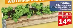 CENTERSHOP Paletten-Pflanzrahmen Angebot