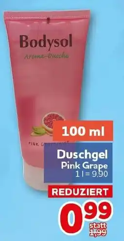 CENTERSHOP Bodysol Aroma-Dusche Duschgel Pink Grape Angebot